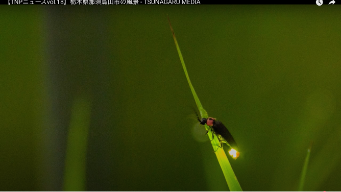 栃木県那須烏山市